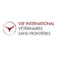 VSF International