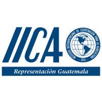 Representación del IICA en Guatemala