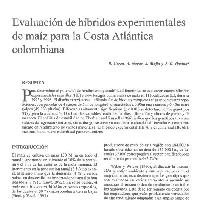 Evaluación de híbridos experimentales de maíz para la Costa Atlántica Colombiana Tipo de producto