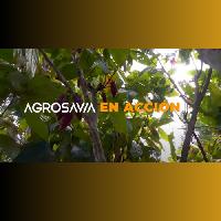 Protocolo muestras análisis cadmio Proyecto STDF Cadmio en Cacao V1