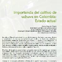 Importancia del cultivo de la uchuva en Colombia: estado actual