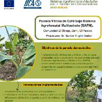 Parcela Vitrina de Café bajo Sistema Agroforestal Multiestrato (SAFM). Comunidad El Obraje, Danlí, El Paraíso