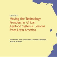 Moving the Technology Frontiers in African Agrifood Systems: Lessons from Latin America