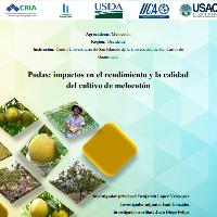 Podas: impactos en el rendimiento y la calidad del cultivo de melocotón