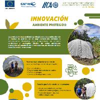 Innovación ambiente protegido