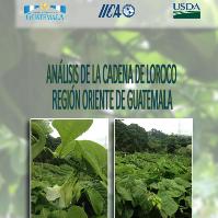 Análisis de la cadena de loroco. Región Oriente de Guatemala