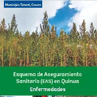 Esquema de Aseguramiento Sanitario (EAS) en quinua enfermedades : municipio de Totoró, Cauca