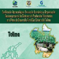 Zonificación agroecológica, evaluación económica y organización socioempresarial de sistemas de producción prioritarios en el área de desarrollo rural sur oriente del Tolima-