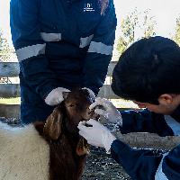 Instituto de Ciencias Agroalimentarias, Animales y Ambientales de la UOH