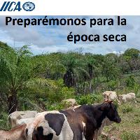 Preparémonos para la época seca