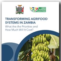 Transforming agrifood systems in Zambia: What are the priorities and how much will it cost?