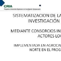 Socialización Sistematización del consorcio de actores locales, Región Occidente / IICA-CRIA
