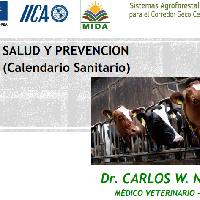 Salud y Prevención (Calendario Sanitario)