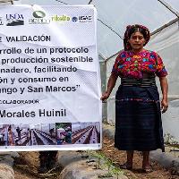 Historia de éxito doña María Reyna Morales