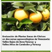 Evaluación de Plantas Sanas de Cítricos en dos zonas agroecológicas de Venezuela: Valles Bajos de Aroa-Yaracuy y Valles Altos de Carabobo y Yaracuy