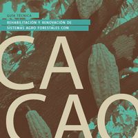 Las Recomendaciones técnicas para rehabilitar y renovar sistemas agroforestales con cacao en la región del Pacífico