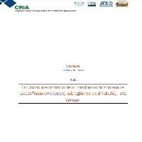 Estudio socioeconómico de la Transformación Primaria de cacao (Theobroma cacao), subregión Valle del Polochic, Alta Verapaz