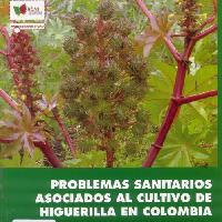 Problemas fitosanitarios : asociados al cultivo de la higuerilla en Colombia-