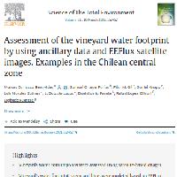 Assessment of the vineyard water footprint by using ancillary data and EEFlux satellite images. Examples in the Chilean central zone