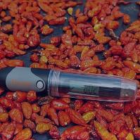 Deshidratador solar tipo túnel para chile cahabonero