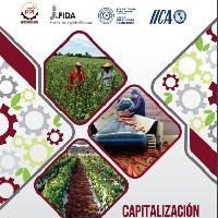Capitalización de experiencias : inclusión de la agricultura Familiar en Cadenas de Valor: Proyecto Paraguay Inclusivo, PPI
