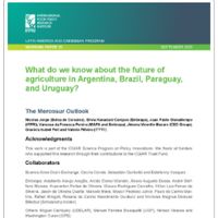 What Do We Know About the Future of Agriculture in Argentina, Brazil, Paraguay, and Uruguay? The Mercosur Outlook