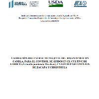 Validación del extracto vegetal de crisantemo con canela, para el control de áfidos en el cultivo de loroco (Fernaldia pandurata Woodson), en los departamentos de Zacapa y Chiquimula