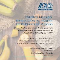 Estudio de caso: Producción de Harina de plátano en México