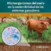 Microorganismos del suelo en la sostenibilidad de los sistemas ganaderos de la región Caribe de Colombia