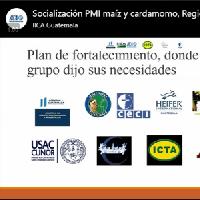 Socialización PMI maíz y cardamomo, Región Norte / IICA-CRIA