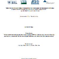 Informe final. Consultoría: 