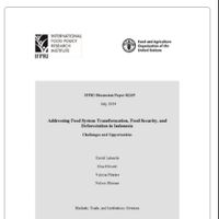 Addressing food system transformation, food security, and deforestation in Indonesia: Challenges and opportunities