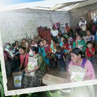 Semilla de maíz ICTA B-15 VF