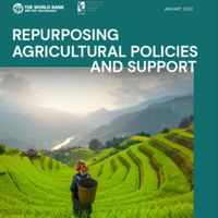  Repurposing Agricultural Policies and Support: Options to Transform Agriculture and Food Systems to Better Serve the Health of People, Economies, and the Planet