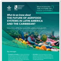Part Two: What do we know about the future of food systems in Latin America and the Caribbean?
