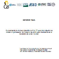 Informe Final. Comportamiento de la producción de frijol (Phaseolus vulgaris) en sistema Agroforestal, vrs Sistema de producción tradicional en el municipio de Ixcán, Quiché
