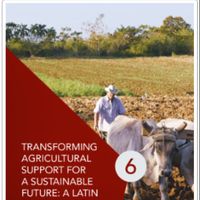 Transforming agricultural support for a sustainable future: A Latin America and Caribbean view