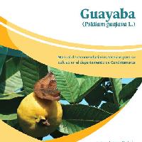 Guayaba (Psidium guajava L.) : manual de recomendaciones técnicas para su cultivo en el departamento de Cundinamarca