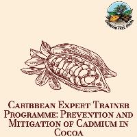 Formación de formadores expertos en la prevención y mitigación de la contaminación por cadmio en el cacao. Sistematización de materiales formativos