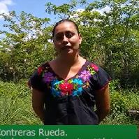 Experiencia de productoras: Patricia Contreras Rueda, Campeche, México