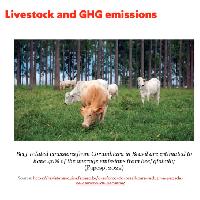 Carne de vacuno sostenible: Sesión 3: Cómo el ganado preserva los sistemas alimentarios de alto valor