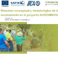 Resumen conceptual y metodológico de las actividades de escalamiento en el proyecto AGROINNOVA