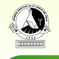 Performance and Mapping of the Scientific Production of the Rock-Soil-Vegetation Relationship