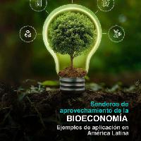 Senderos de aprovechamiento de la bioeconomía: ejemplos de aplicación en América Latina