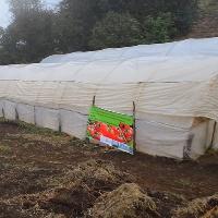 Bokashi con microorganismos de montaña