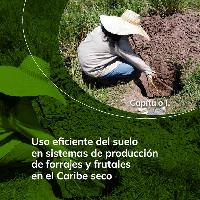 Uso eficiente del suelo en sistemas de producción de forrajes y frutales en el Caribe seco