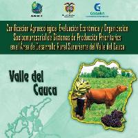 Zonificación agroecológica, evaluación económica y organización socioempresarial de sistemas de producción prioritarios en el área de desarrollo rural suroriente del Valle del Cauca-