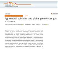 Agricultural subsidies and global greenhouse gas emissions