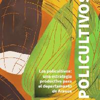 Los policultivos : una estrategia productiva para el departamento de Arauca