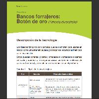 Bancos forrajeros: Botón de oro (Tithonia diversifolia)